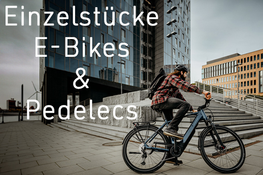 Einzelstücke E-Bikes & Pedelecs